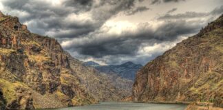 Czym się różni płyta HDF od MDF?