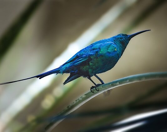 Ile zostaje na rękę z faktury?