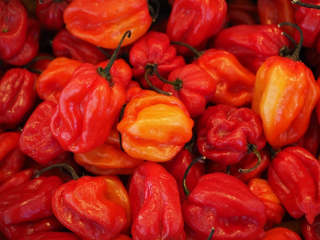 Czy habanero jest ostre? Czy habanero jest ostre?