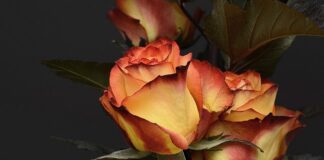 Co kupić po urodzeniu dziecka? Co kupić po urodzeniu dziecka?