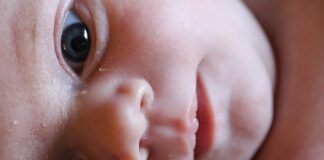 Jak wygląda body niemowlęce?