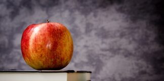 Jakie są klasy jachtów? Jakie są klasy jachtów?