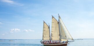 Jak się nazywa dodatkowy żagiel? Jak się nazywa dodatkowy żagiel?