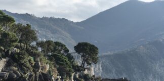 Ile kosztuje nowy jacht żaglowy? Ile kosztuje nowy jacht żaglowy?