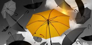 Jak długo trwa stosunek u psów?