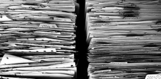 Jaka lornetka do 400 zł?