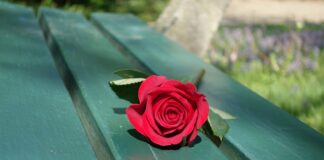 Czym zastąpić ławkę w domu?